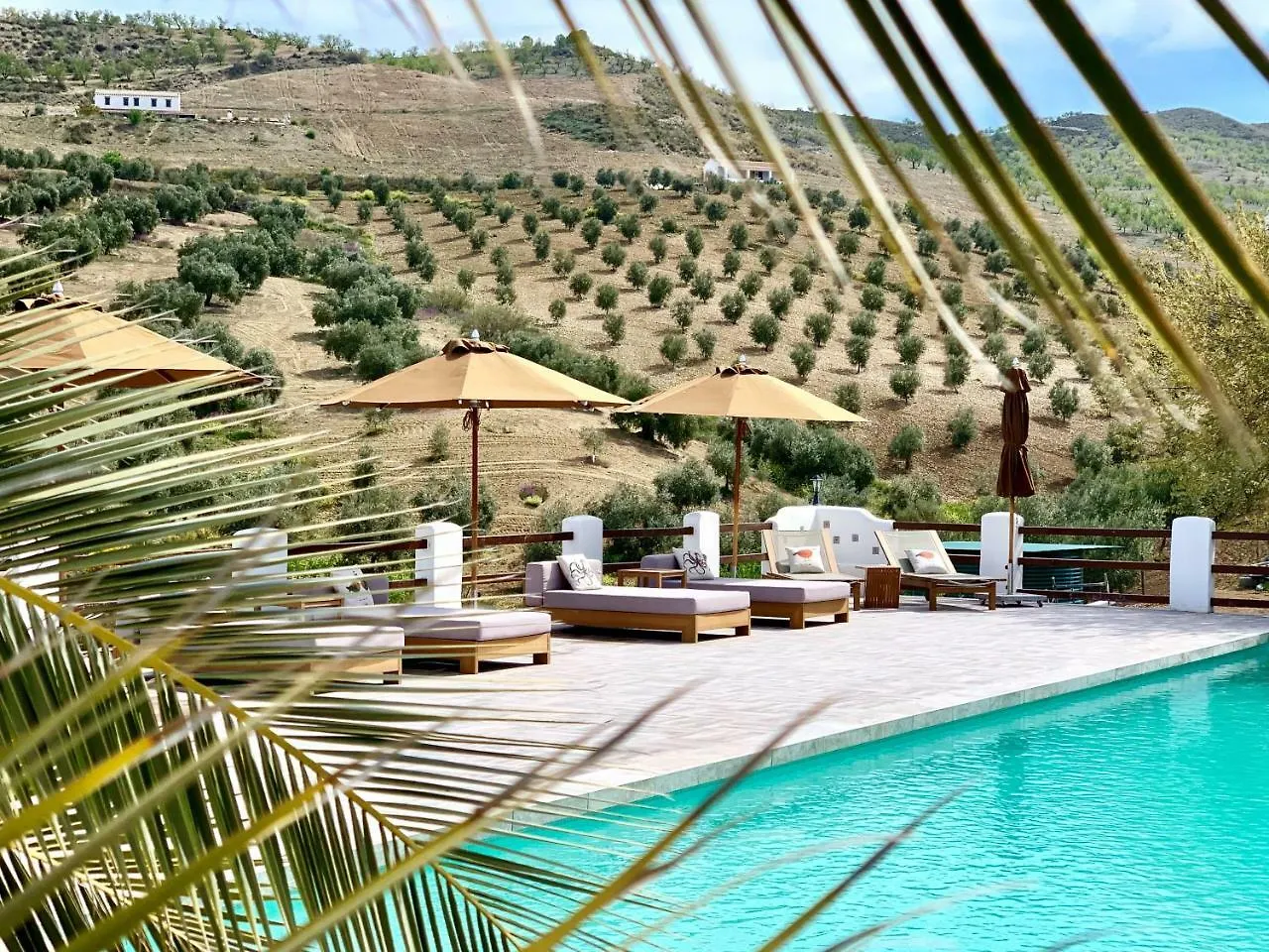 El Amparo Bed & Breakfast Alhama de Granada