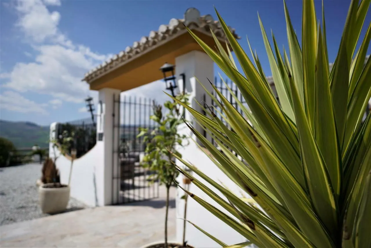 El Amparo Bed & Breakfast Alhama de Granada